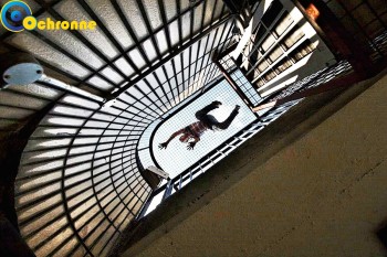 Siatki Gdynia - Siatki na schody wykonane są z polipropylenu, który posiada dużo pozytywnych cech. dla terenów Gdyni